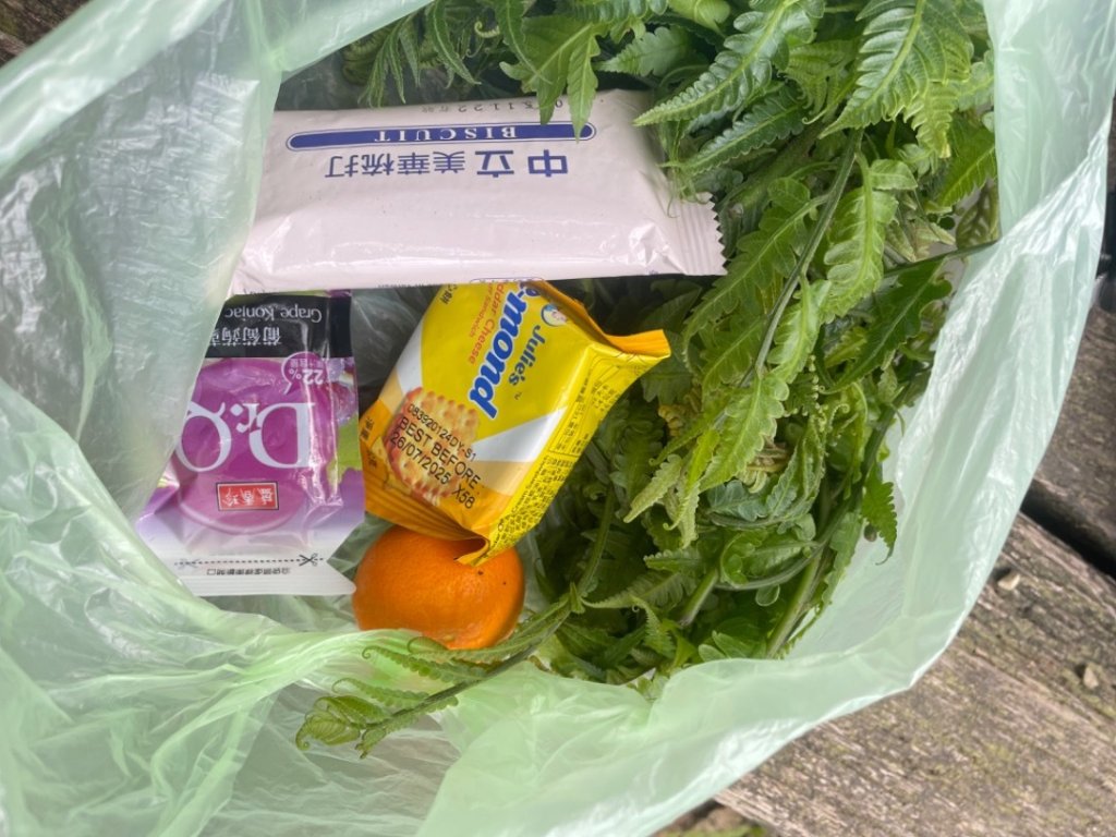 雙溪-四柑-後番子坑古道-土地公-上下內平林-大平林山-石笋-焿子寮古道-猴硐-金瓜石大小粗坑古道_2821799