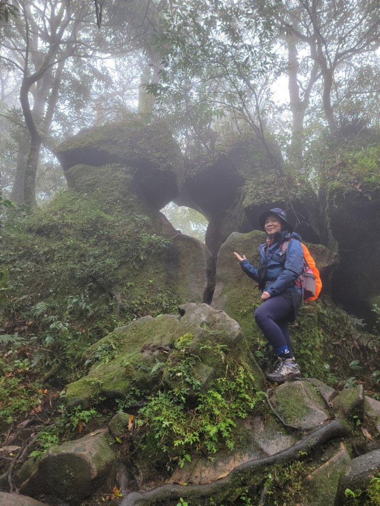 金露天宮-金露山-七星山南峰-恐龍接吻石-小油坑-20240310封面圖