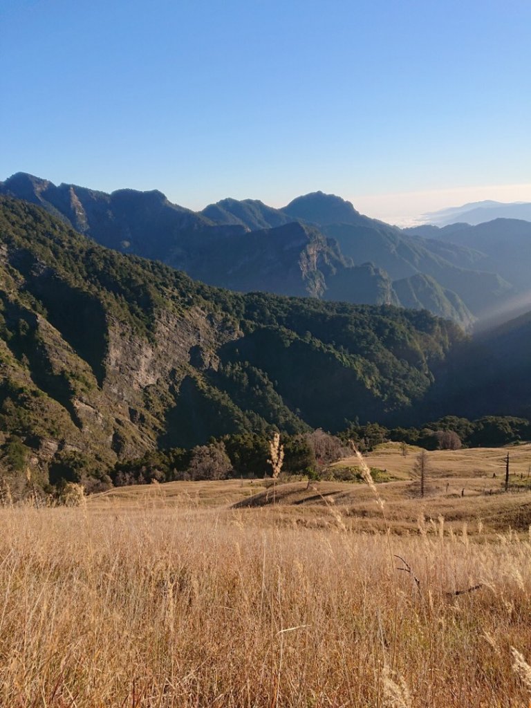 雪主東秋之一日饗宴～巒大花楸_1512109