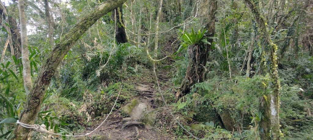 2023 4/9 都蘭山_2107707