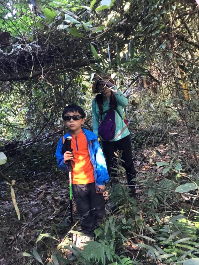 細道邦山 馬那邦山_464716