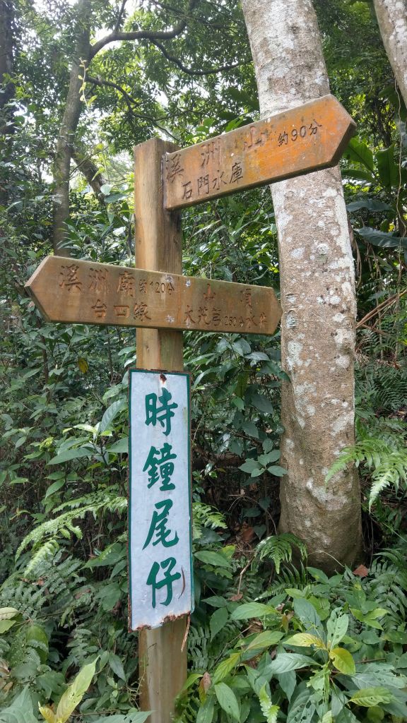 新溪洲山之樂_400391