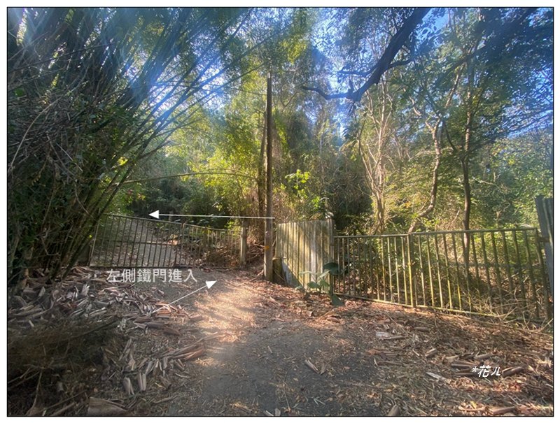 后里 七星山 新發現基石_2990039