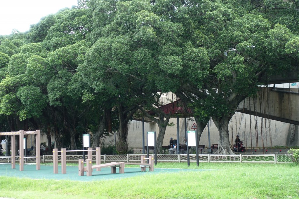 龍山河濱公園．玉泉公園_1124268