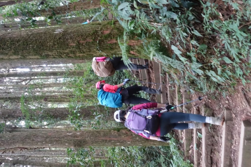 頂湖六連峰_1991714