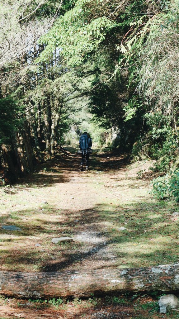 巒安堂上西巒大山｜雙龍上人倫下、人文歷史的遺跡_1388391