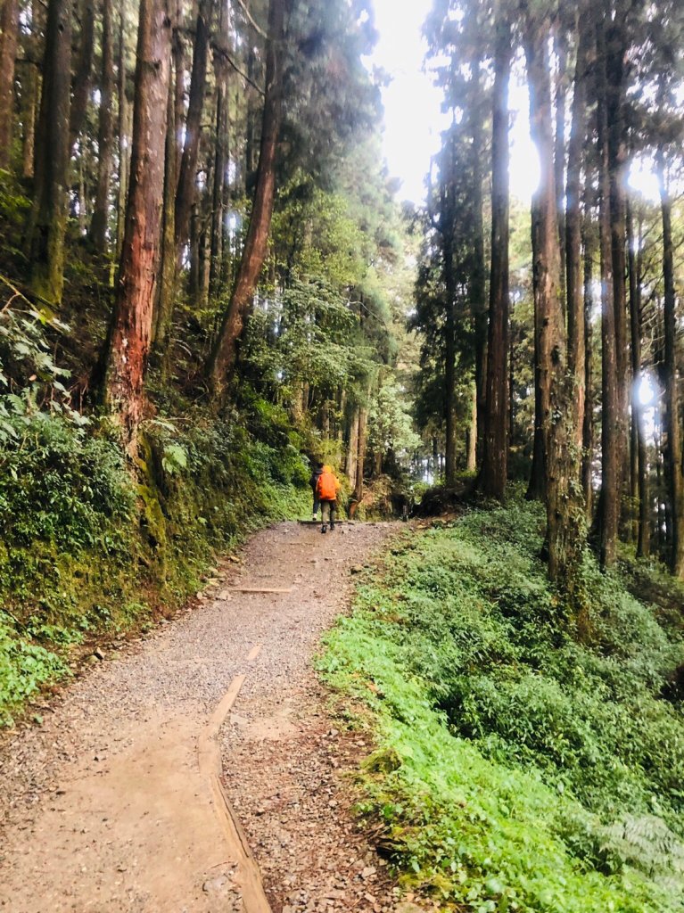 1090423鼓山出動特富野_940981