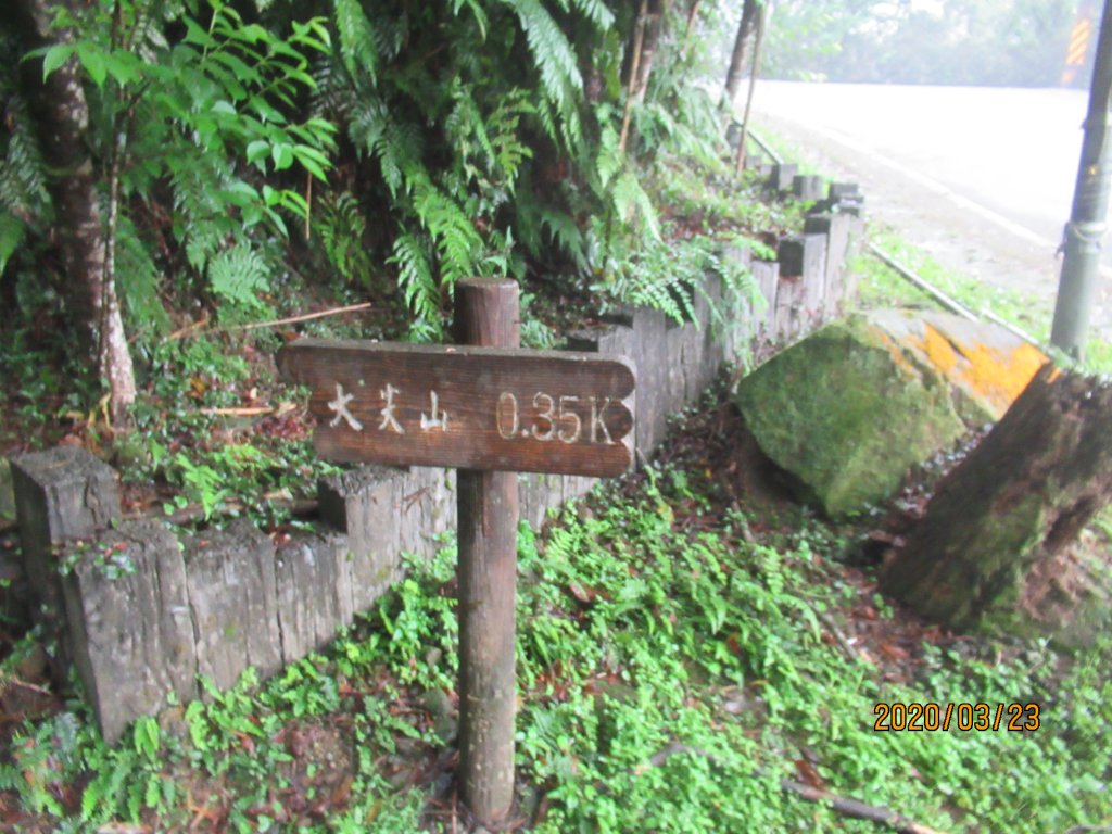 汐止大尖山_908486