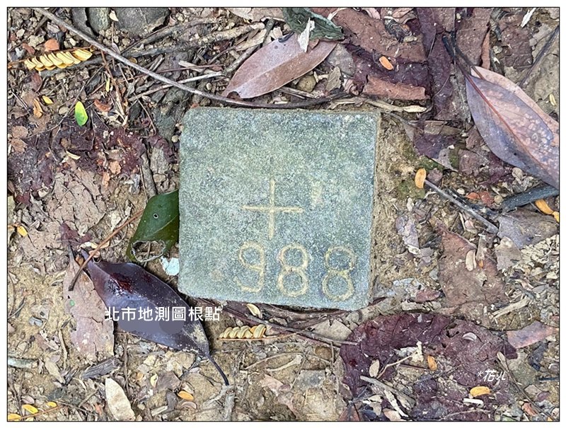 金龍湖、鷹石尖、老鷲尖、內溝山 O型一圈_2966630