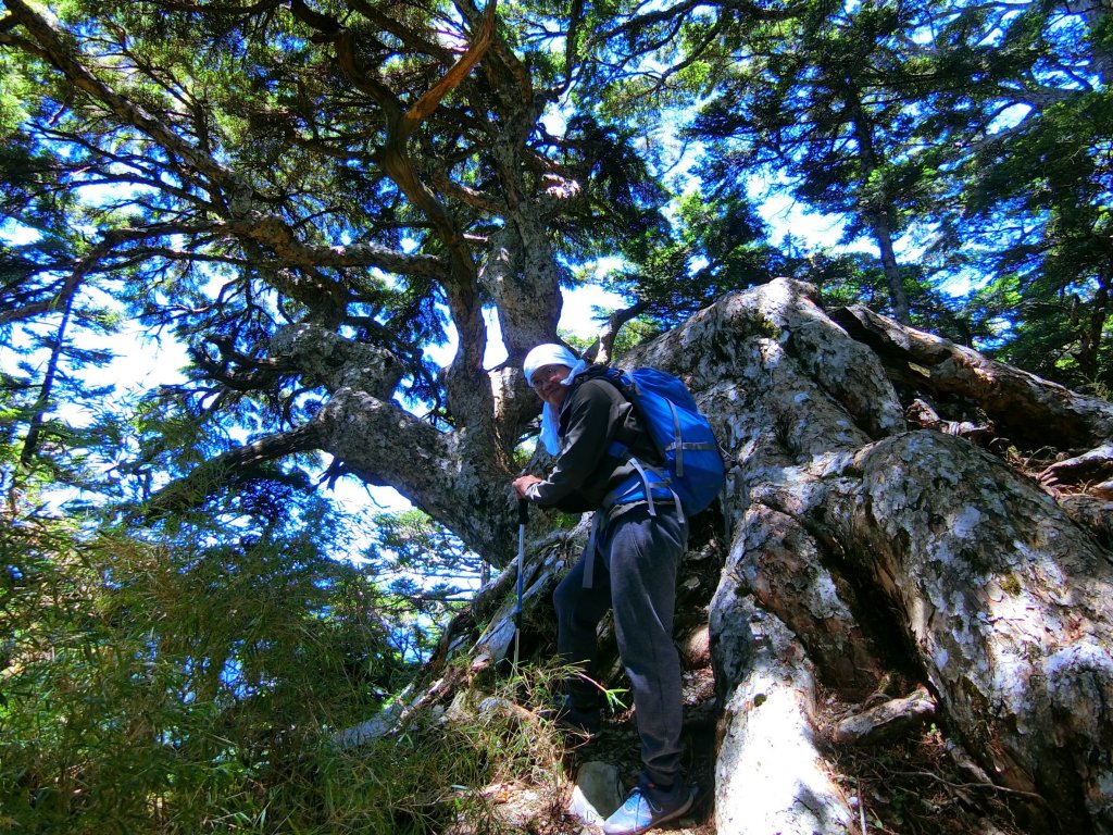 畢祿羊頭單攻之旅._636975