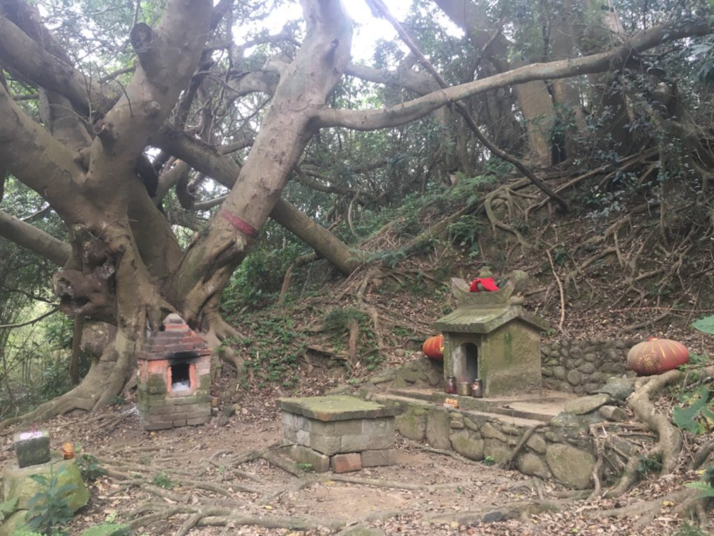 水牛城、百年土地公_2036491