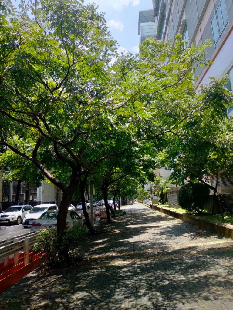 ［健康大穀東］（27~28）：天母運動公園+美崙公園（2023/8/11）_2253685