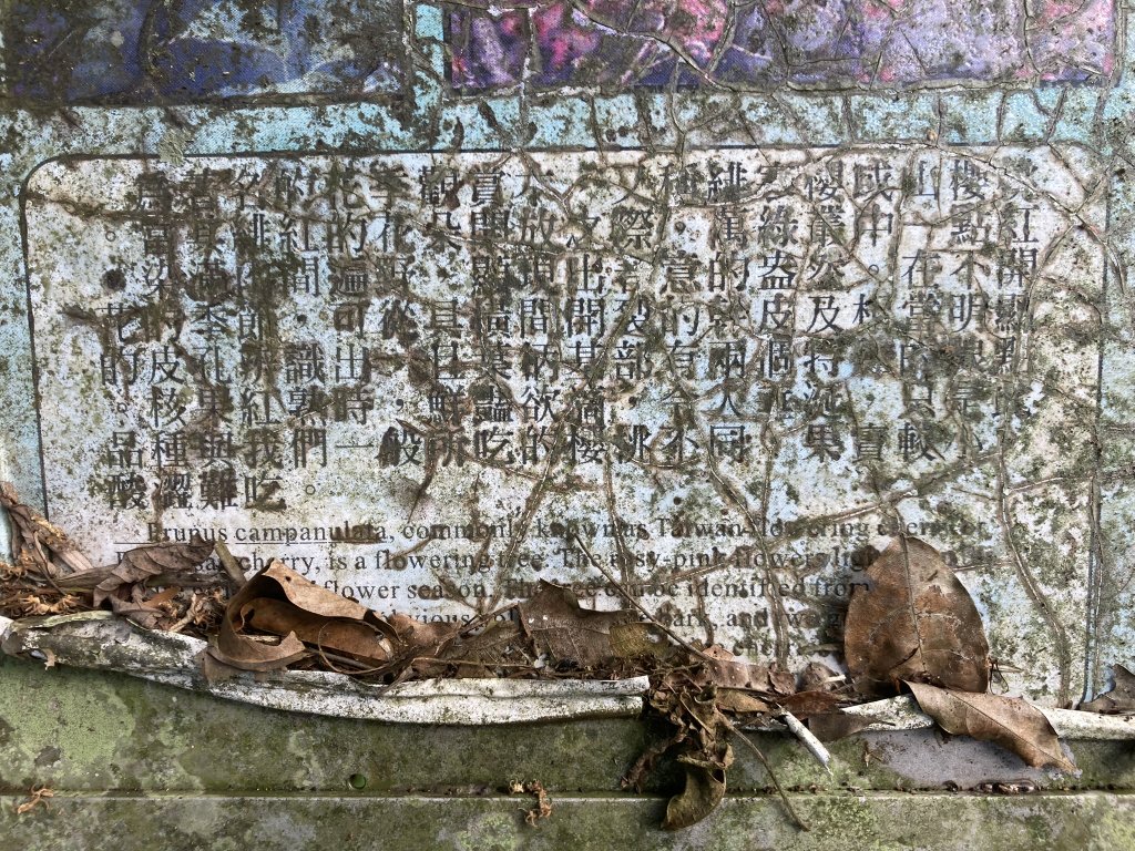 20231118-19六龜警備道_藤枝段_2353033