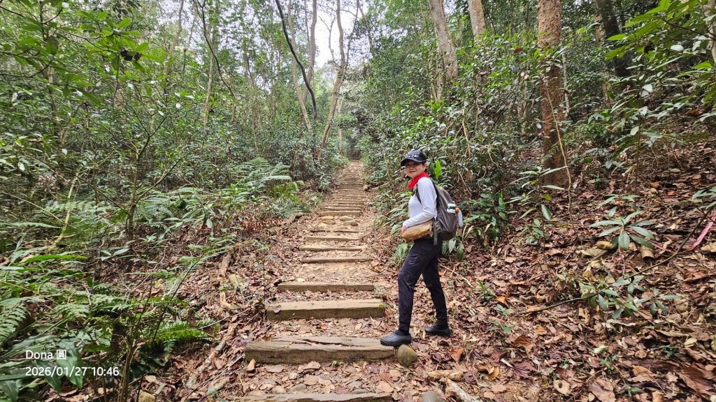 20260127三通嶺山.三義山(大桁茂山).慈濟山.大坪山大O走_2989902