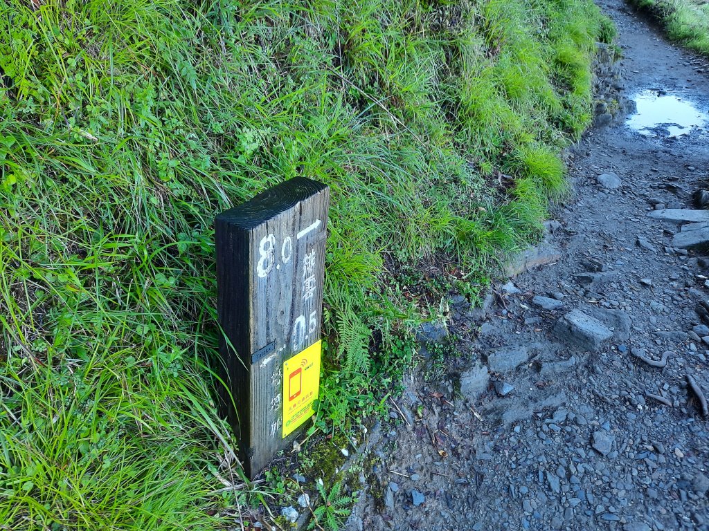 玉山前峰 真的是爬山_1059554