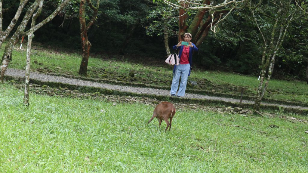 福山植物園登山健行趣(步道)_2269373