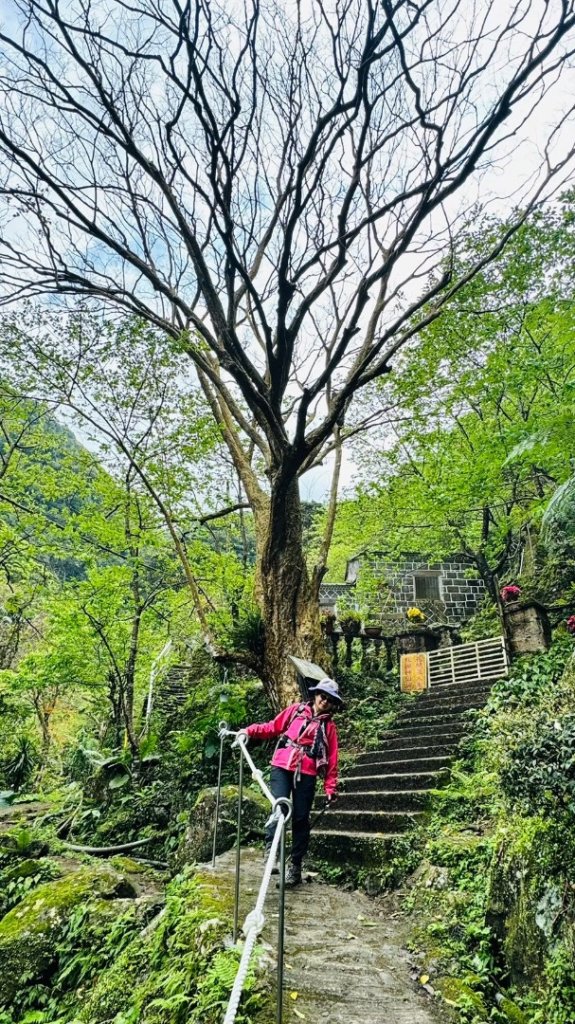 楓樹湖古道、天元宮_2809459