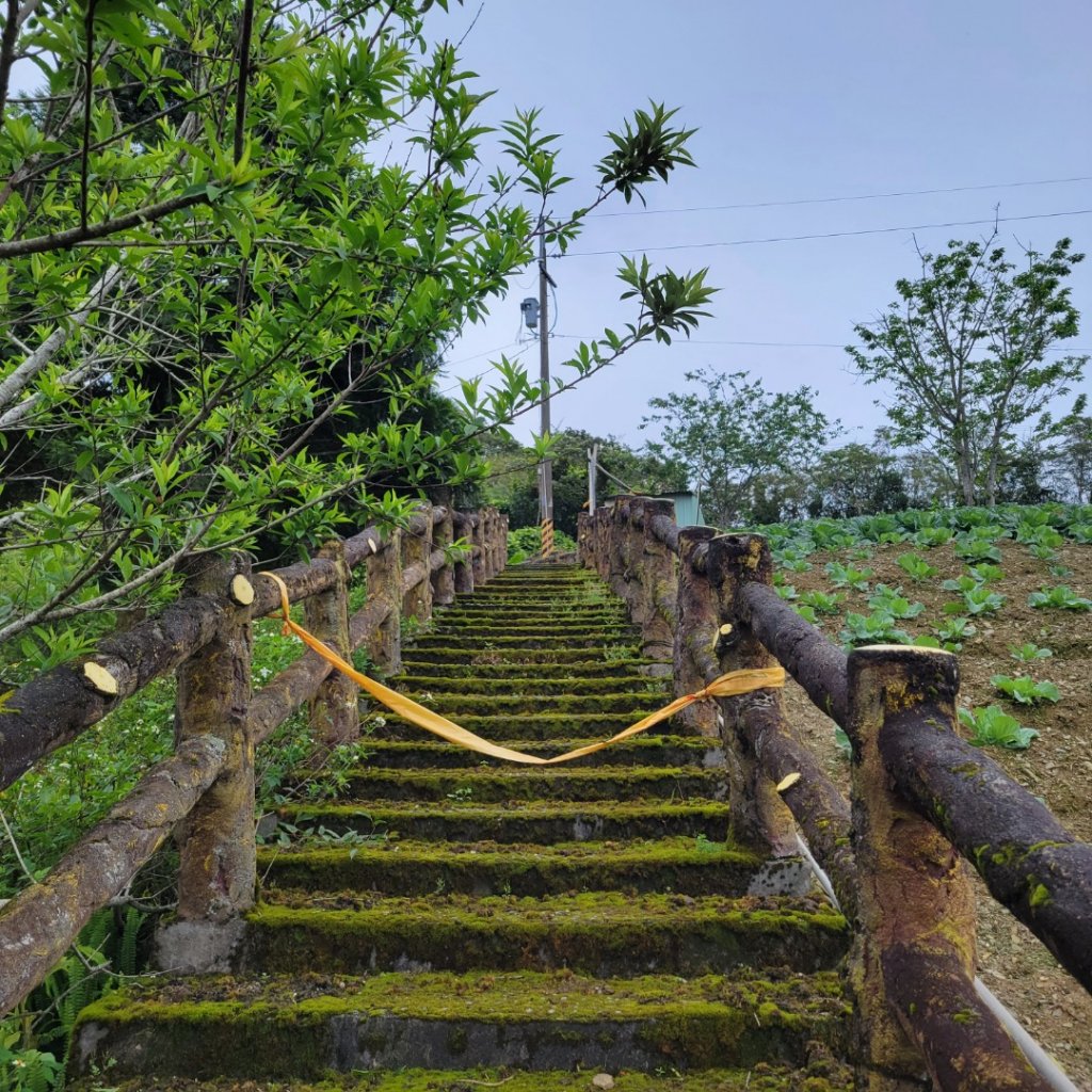 太麻里金針山（小百岳）_1661314