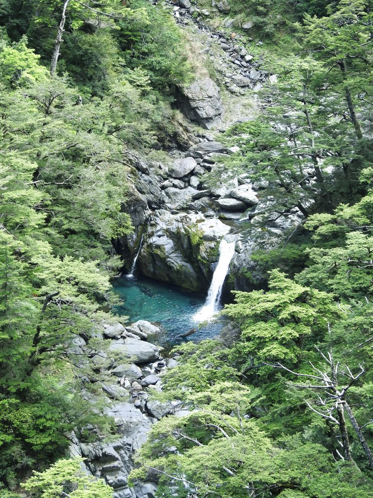 合歡溪賞國寶魚+魯冰花20200516封面圖