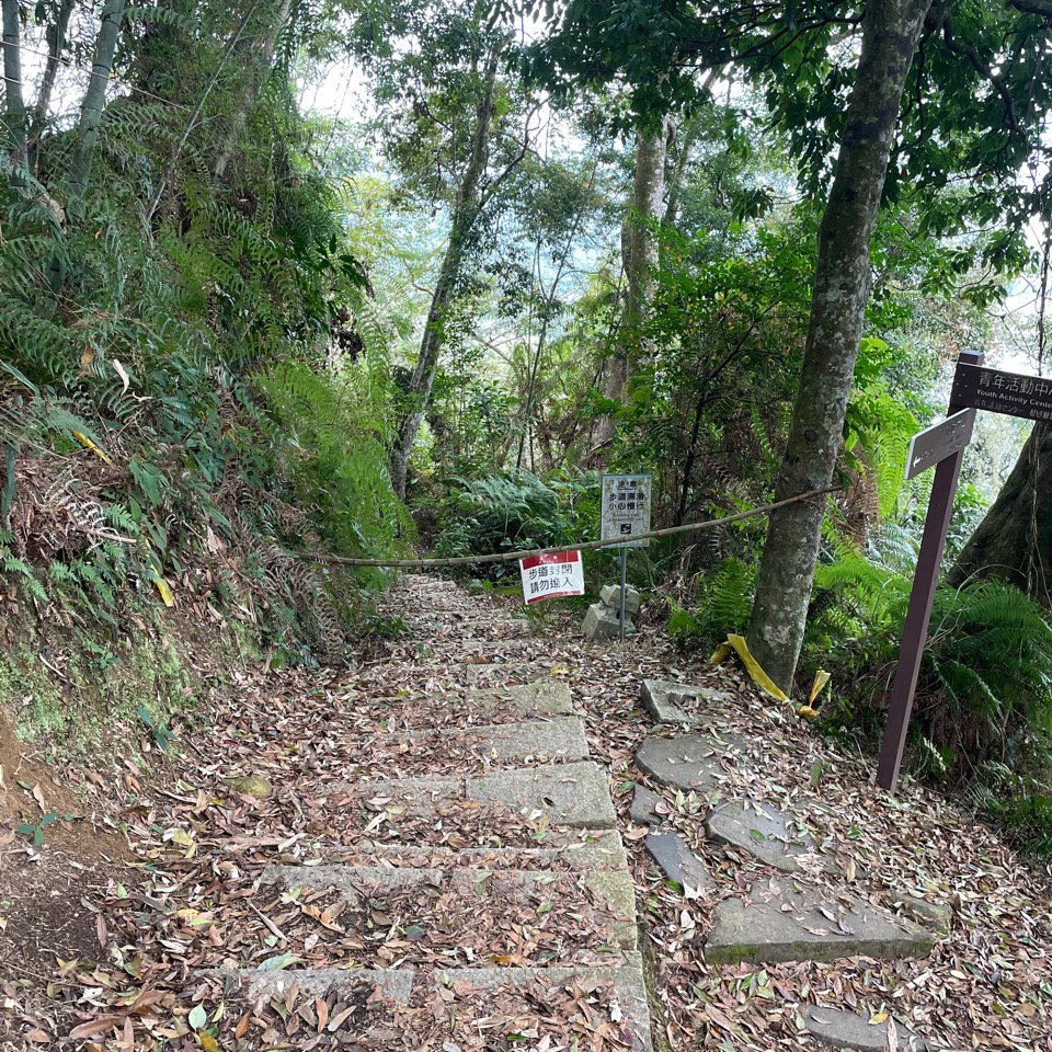 水社大山_2117962