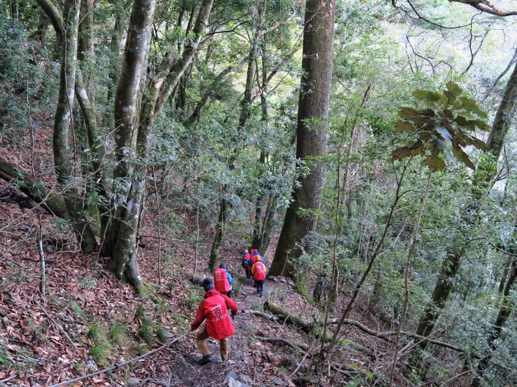 大霸尖山 伊澤山 加利山_1514915