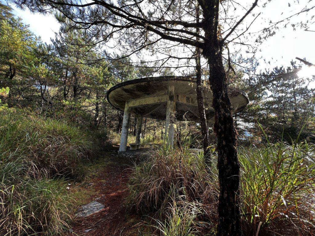 卯木山 合歡越嶺古道單人野營_1940309