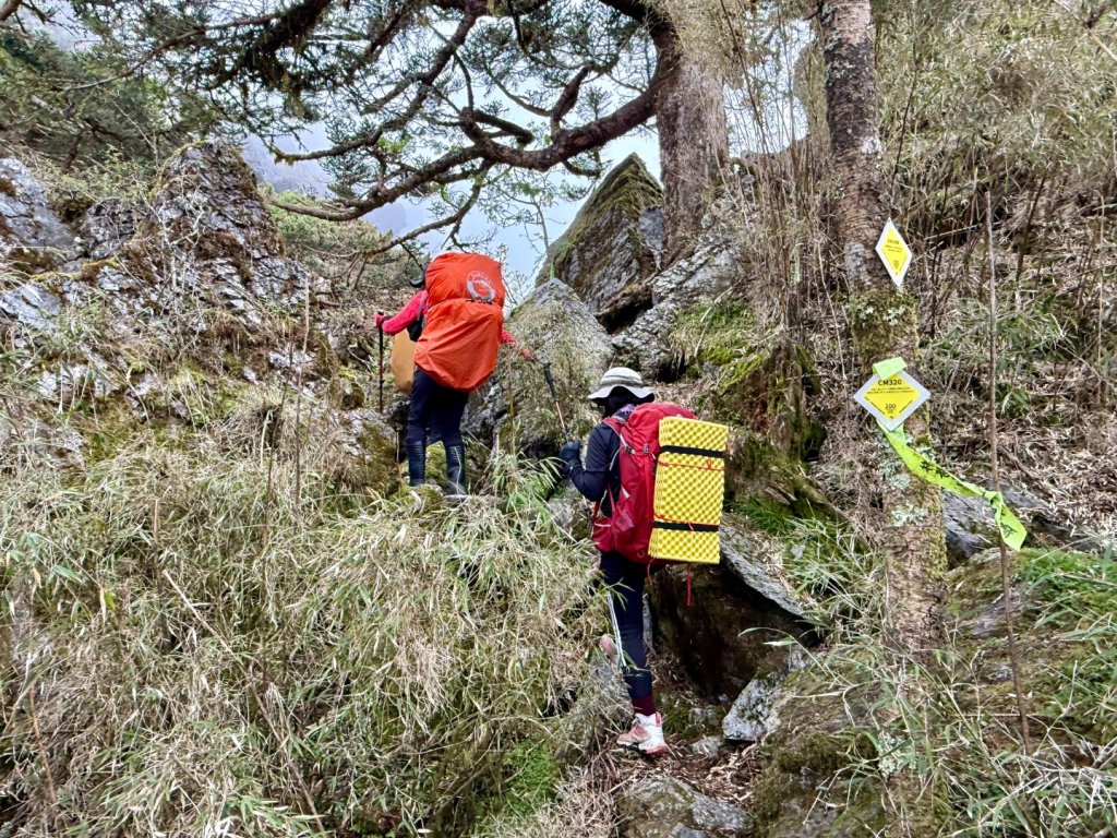 能高安東軍 被水鹿包圍的奇幻冒險旅程_2811141