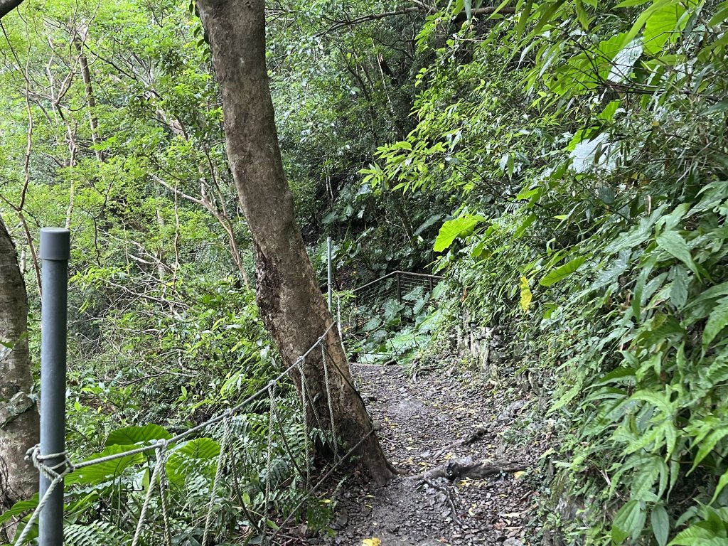 [屏步青雲 尋寶任務-03/10] 2024_0917 雙流國家森林遊樂區（瀑布步道）_2597788