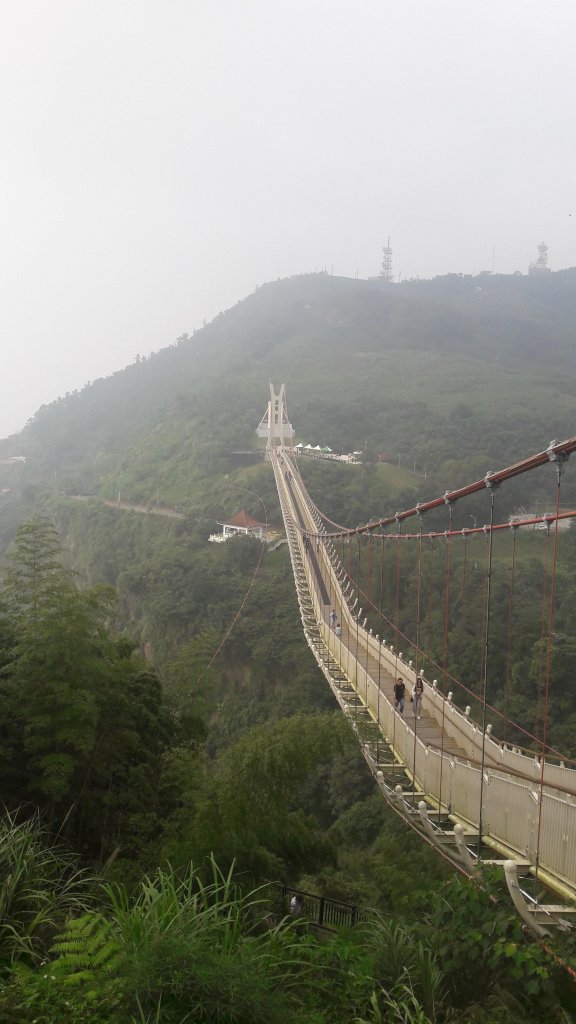 太平雲梯到橋步道_787520