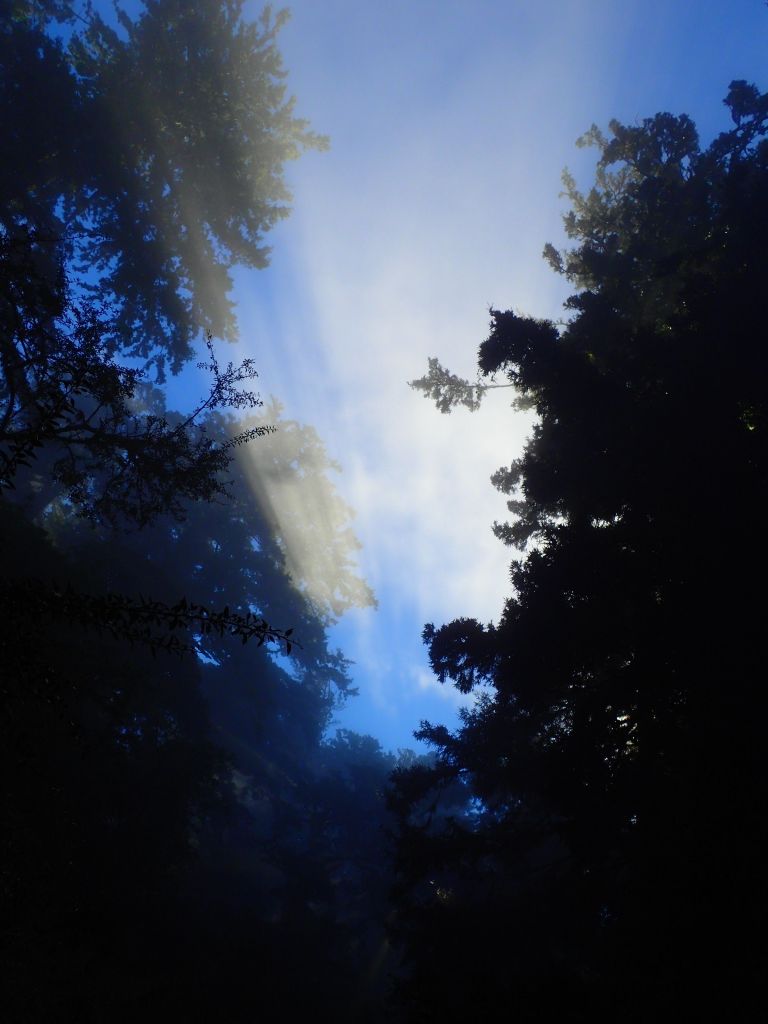 北一段 南湖前四峰_377706