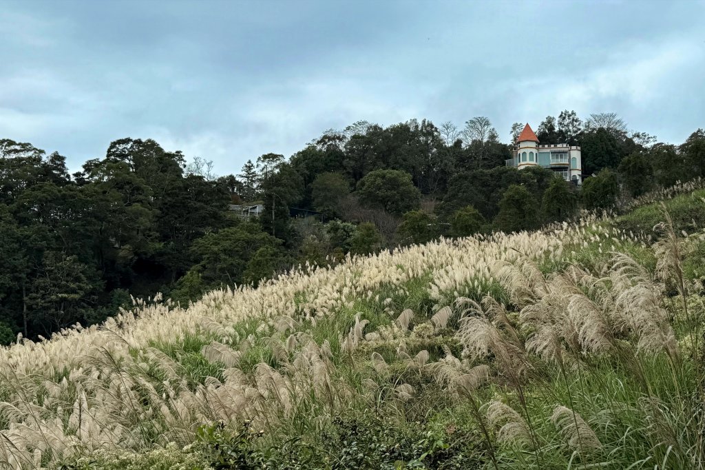 大山背山+騎龍山O繞2025.12.28_2979493