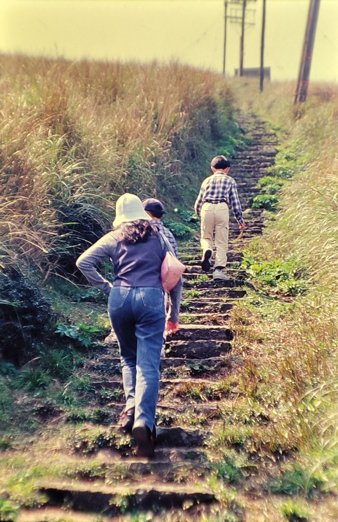 大屯山／二子山封面圖