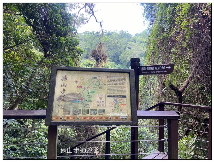 藤坪步道、猿山連走_2601589