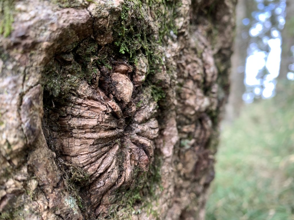 20231106高雄塔關山_2354084