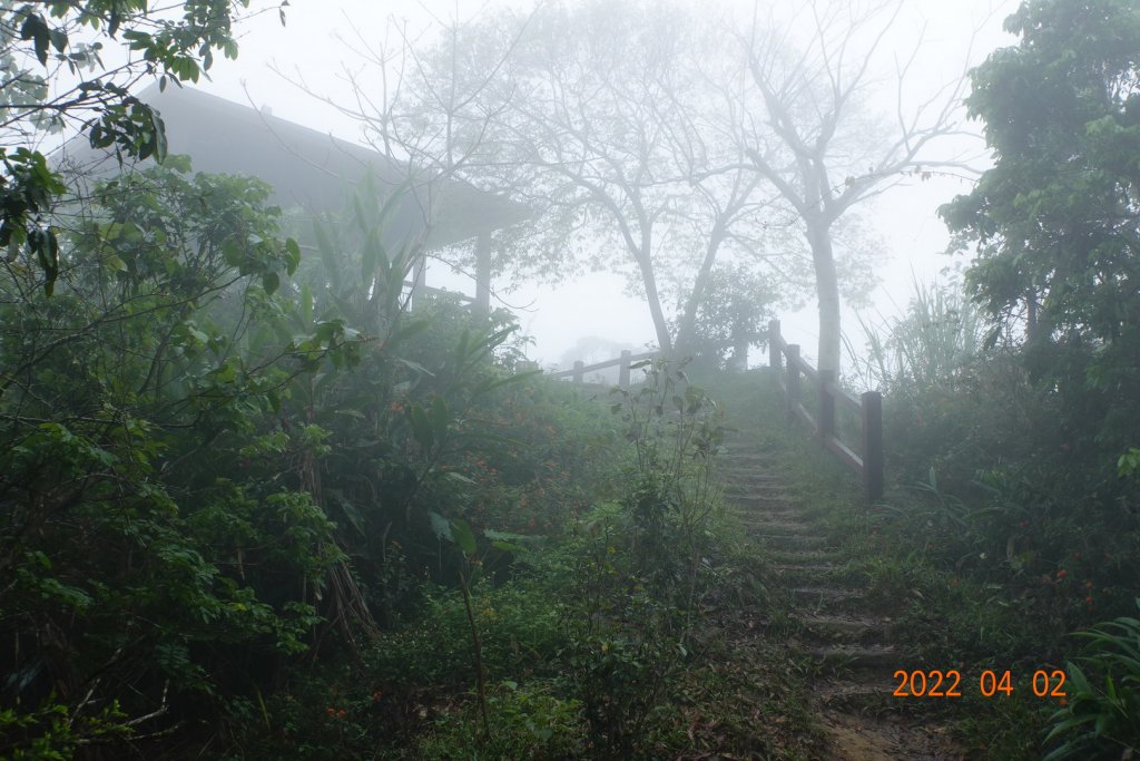 臺南 南化 王爺崙山_1664033