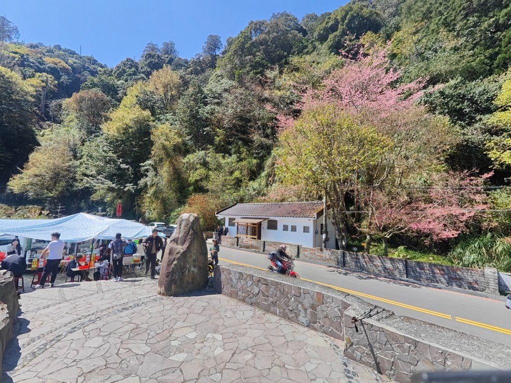 特富野古道>東水西峰>東水山>玉兒山>特富野古道（逆O)_2743773
