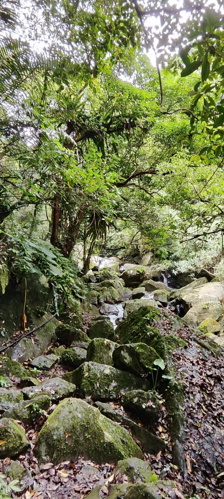 新竹內灣．馬胎古道20250621_2823505