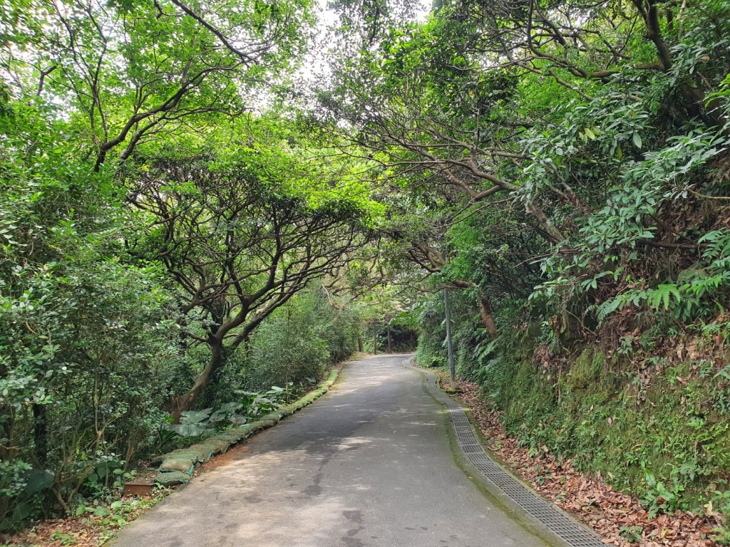 獅頭山公園步道_1369072