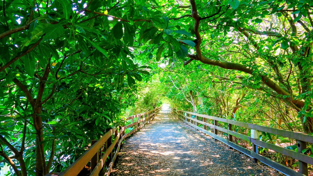 五分港溪_2937346