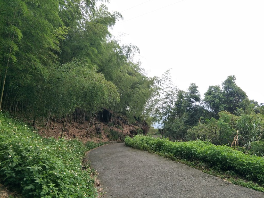 嘉義百大步道：桃荀古道與大尖山_1414689