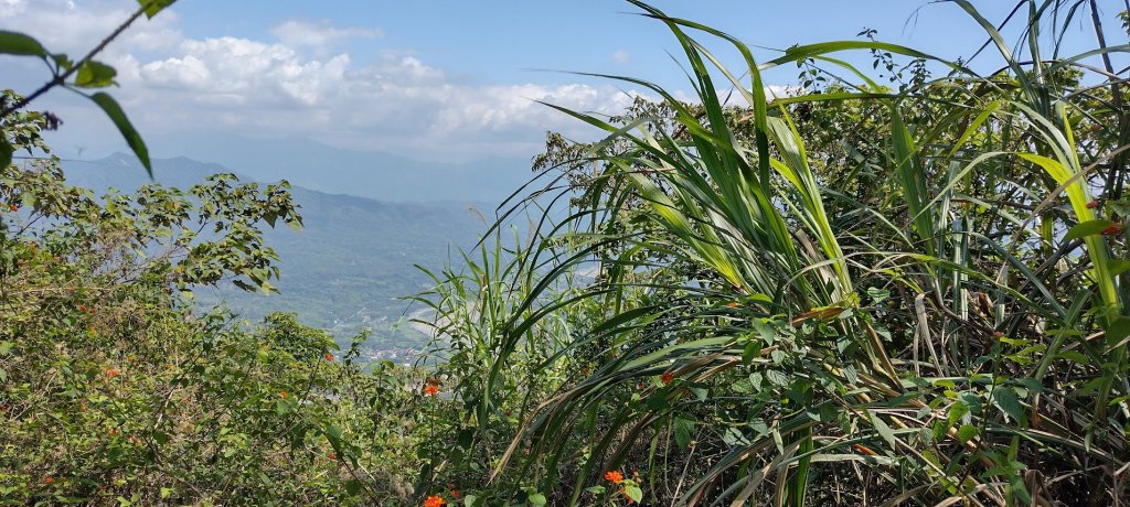 2022 4/5 刣牛湖山_1664155