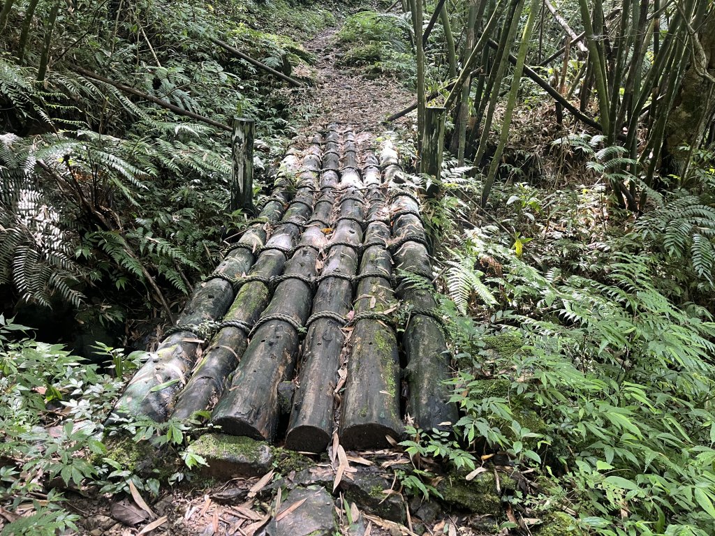 [淡蘭古道] 2024_0622 中路第四段-北勢溪古道_2533878