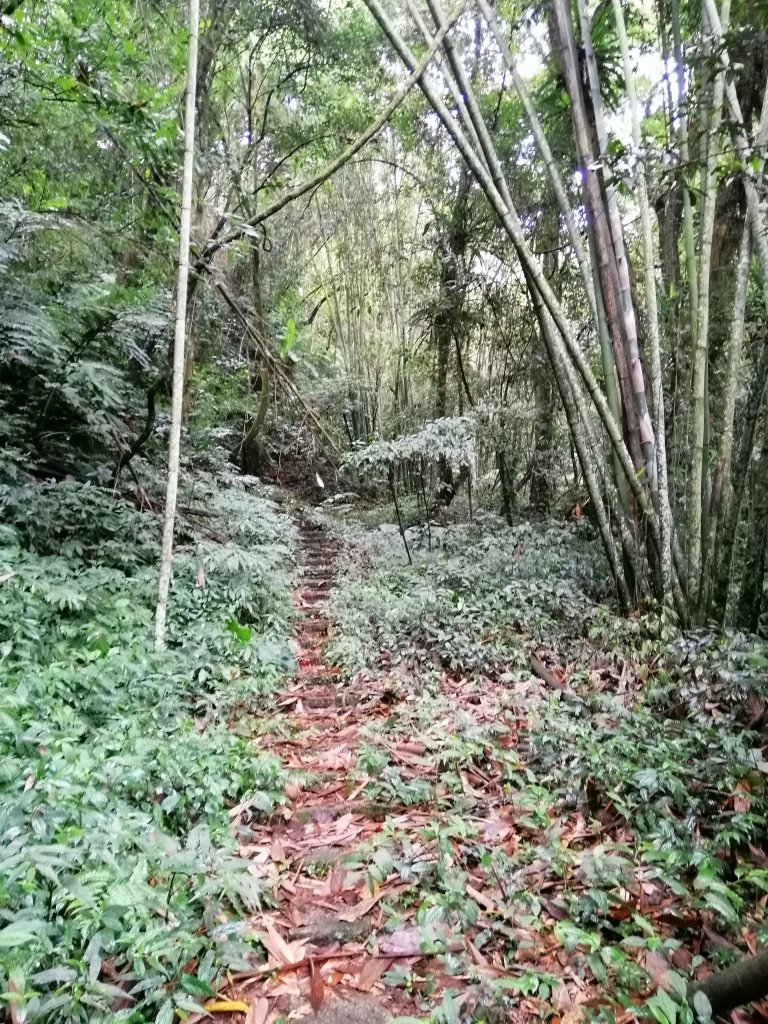 【雲林草嶺線】草嶺風景區~石壁遊龍湖步道_1171893