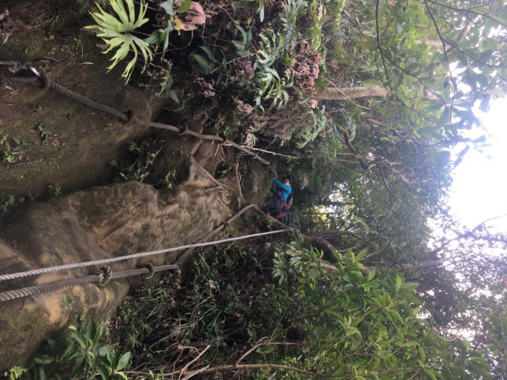 中央尖連峰、孝子山、慈母峰⋯_2248619