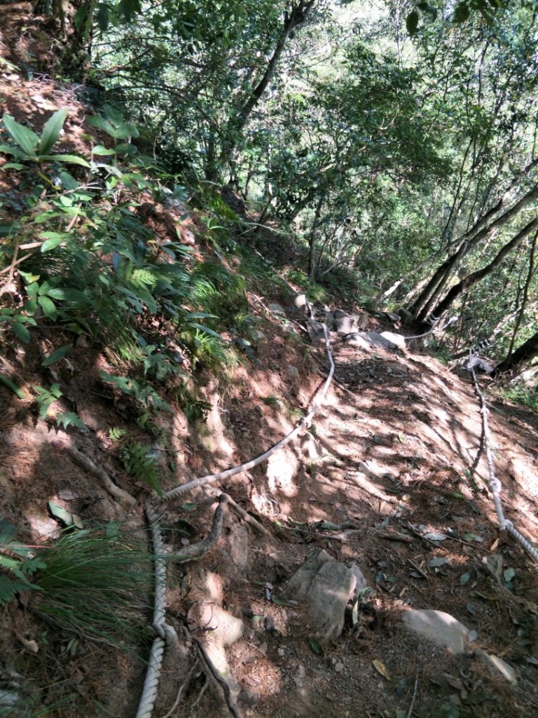 谷關七雄：屋東縱走-屋我尾山-麗陽上_1491957