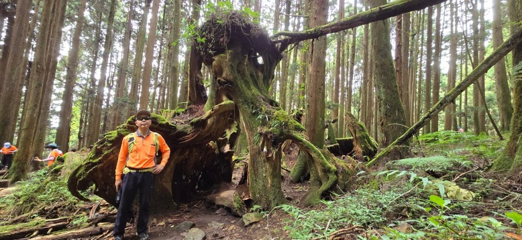 特富野_20240629封面圖