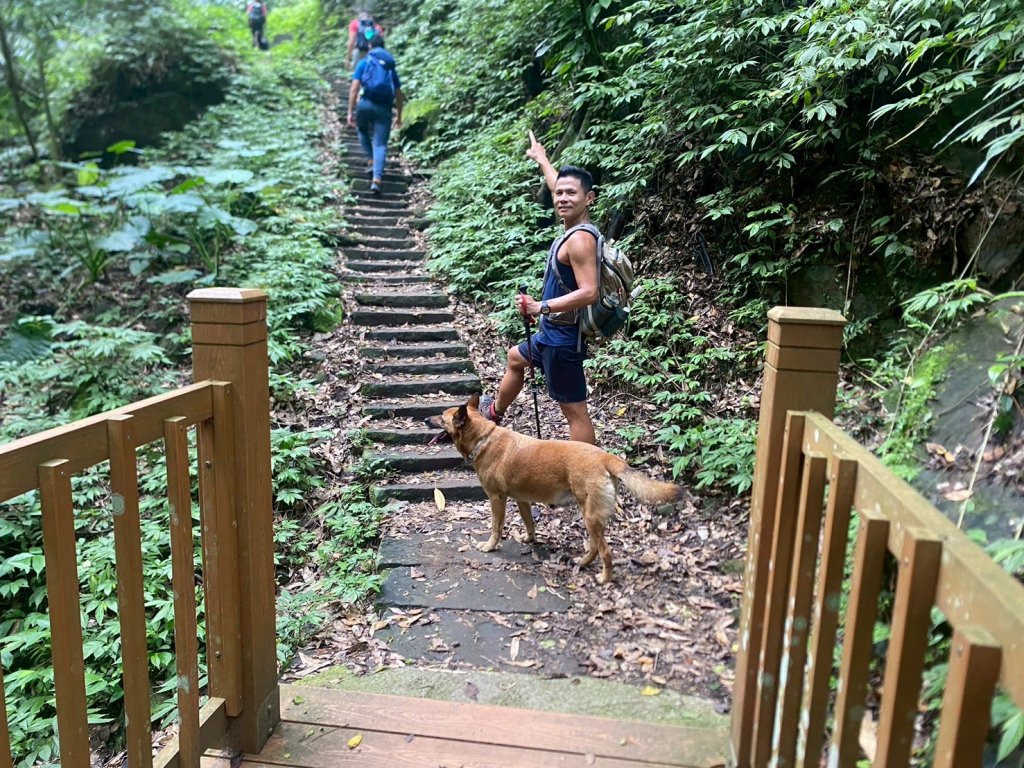 南隘勇古道.龍骨古道.綠色古道.延平古道.鳴鳳古道【一條很單調 一群才精彩】_2812039