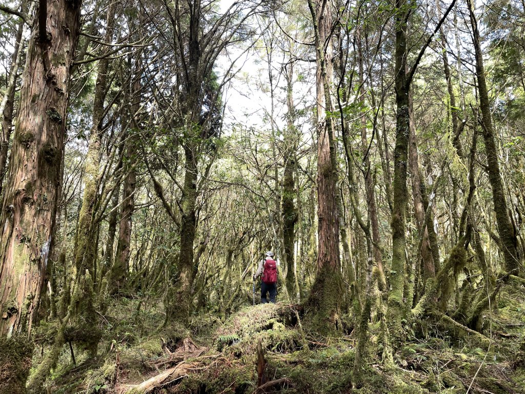 魔幻森林三星山與三星池_1658274