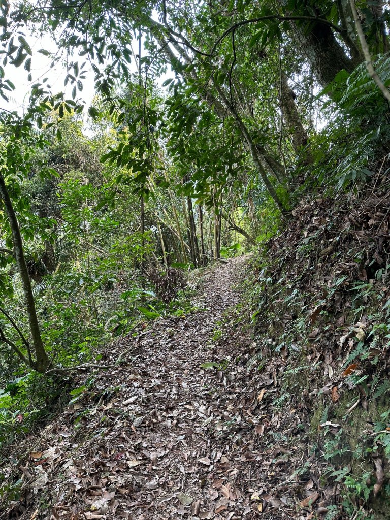 石夢谷、情人谷瀑布步道健走_2440882