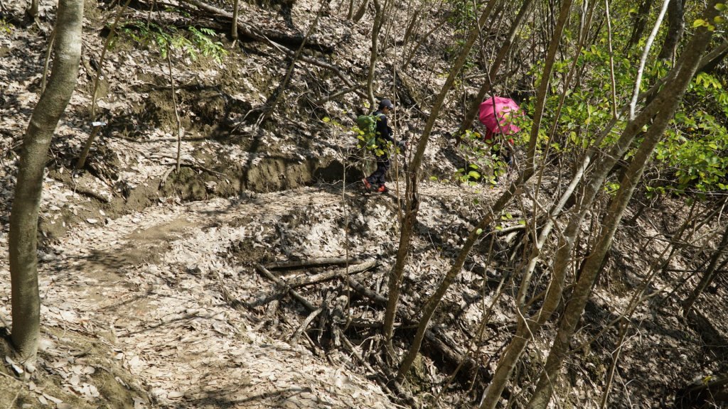 山海圳綠道之東西口越嶺道_1634608